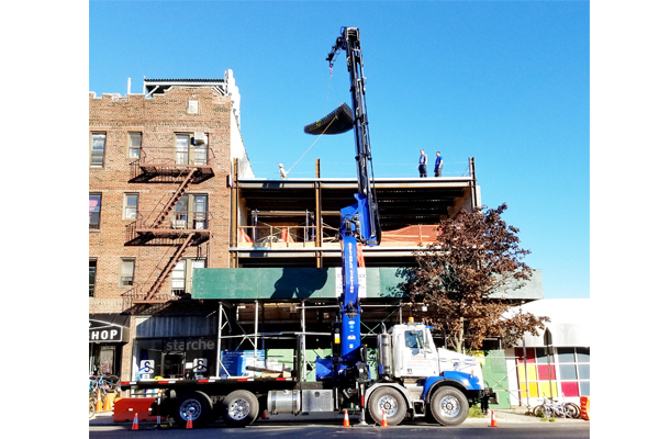cranes-bronx