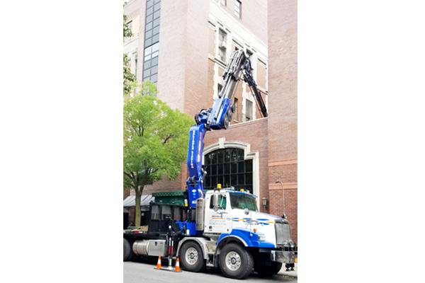 cranes-brooklyn